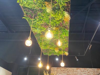 Installation de luminaire décoratif